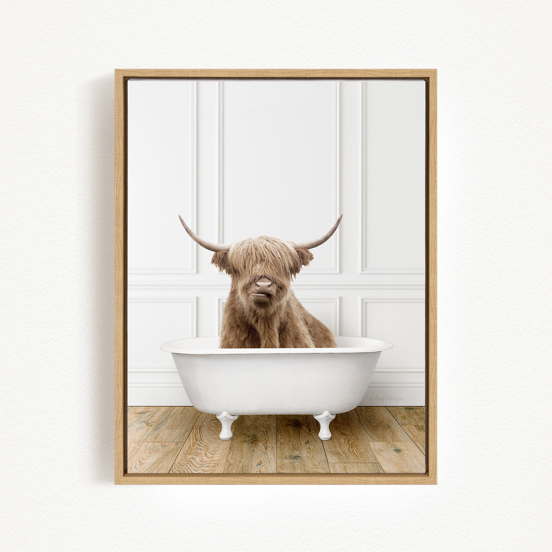 A Highland cow with shaggy fur is sitting in a white bathtub, with its horns raised and looking directly at the camera.