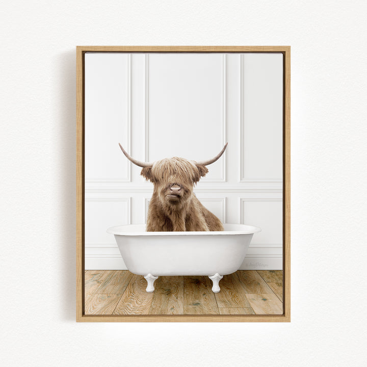 A Highland cow with shaggy fur is sitting in a white bathtub, with its horns raised and looking directly at the camera.