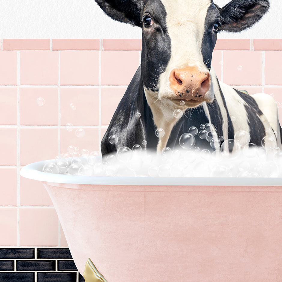 a black and white cow sitting in a bath tub