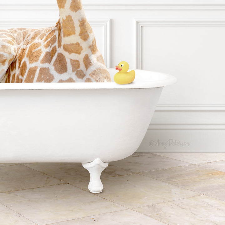 A giraffe is sitting in a white bathtub, with a yellow rubber duck resting on the edge of the tub.