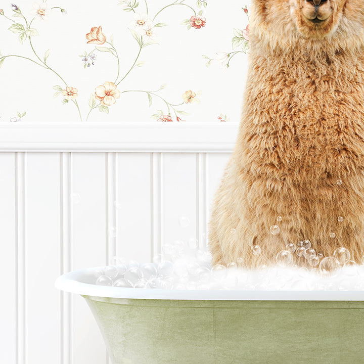 a large brown bear sitting in a bath tub