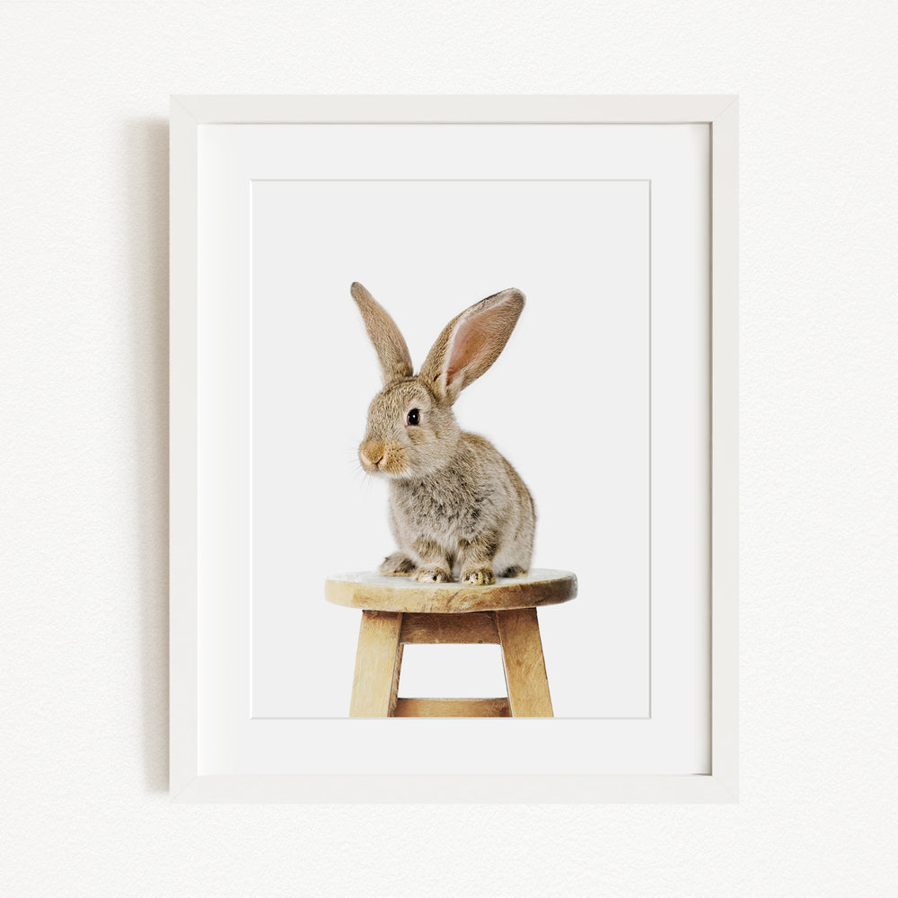 A cute, fluffy rabbit sits on a wooden stool, its ears perked up and alert.