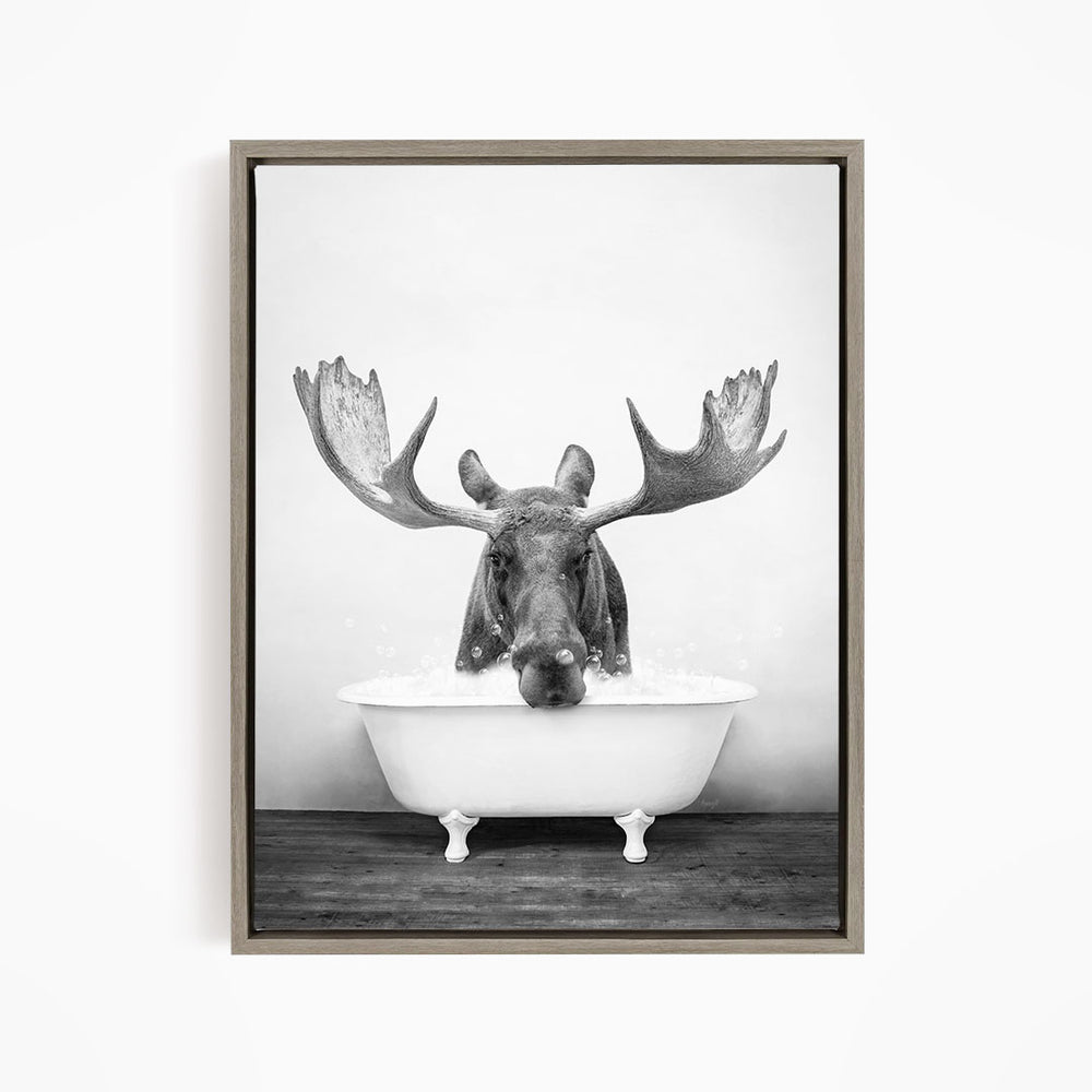 A black and white photograph of a moose with large antlers sitting in a bathtub.