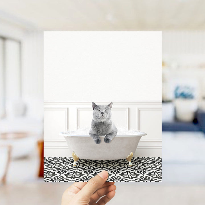 A gray cat sitting in a white bathtub filled with bubbles, with a hand holding the photo up to the viewer.