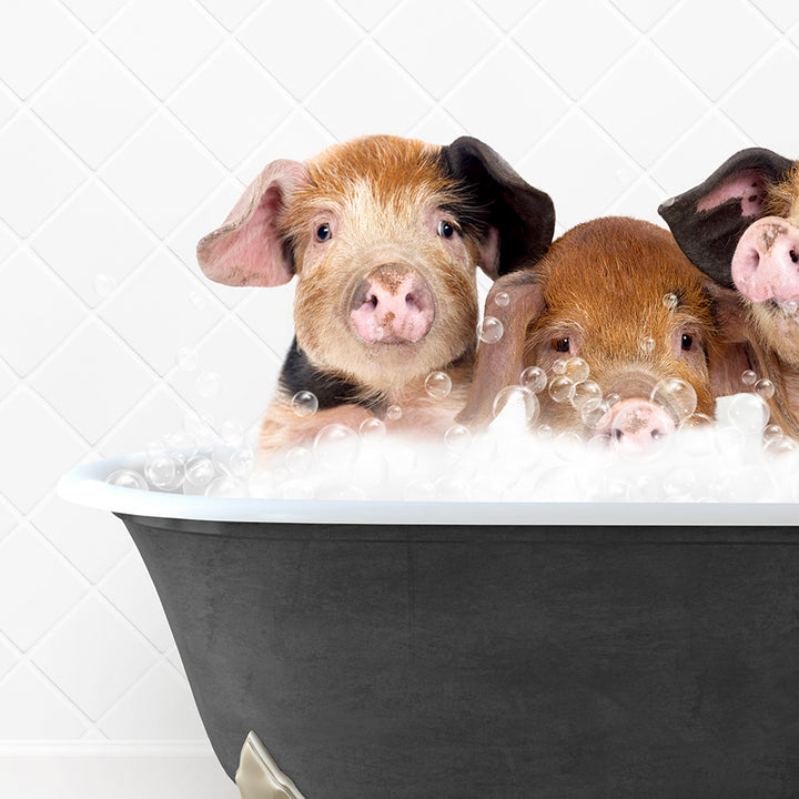 three little pigs sitting in a bathtub full of bubbles