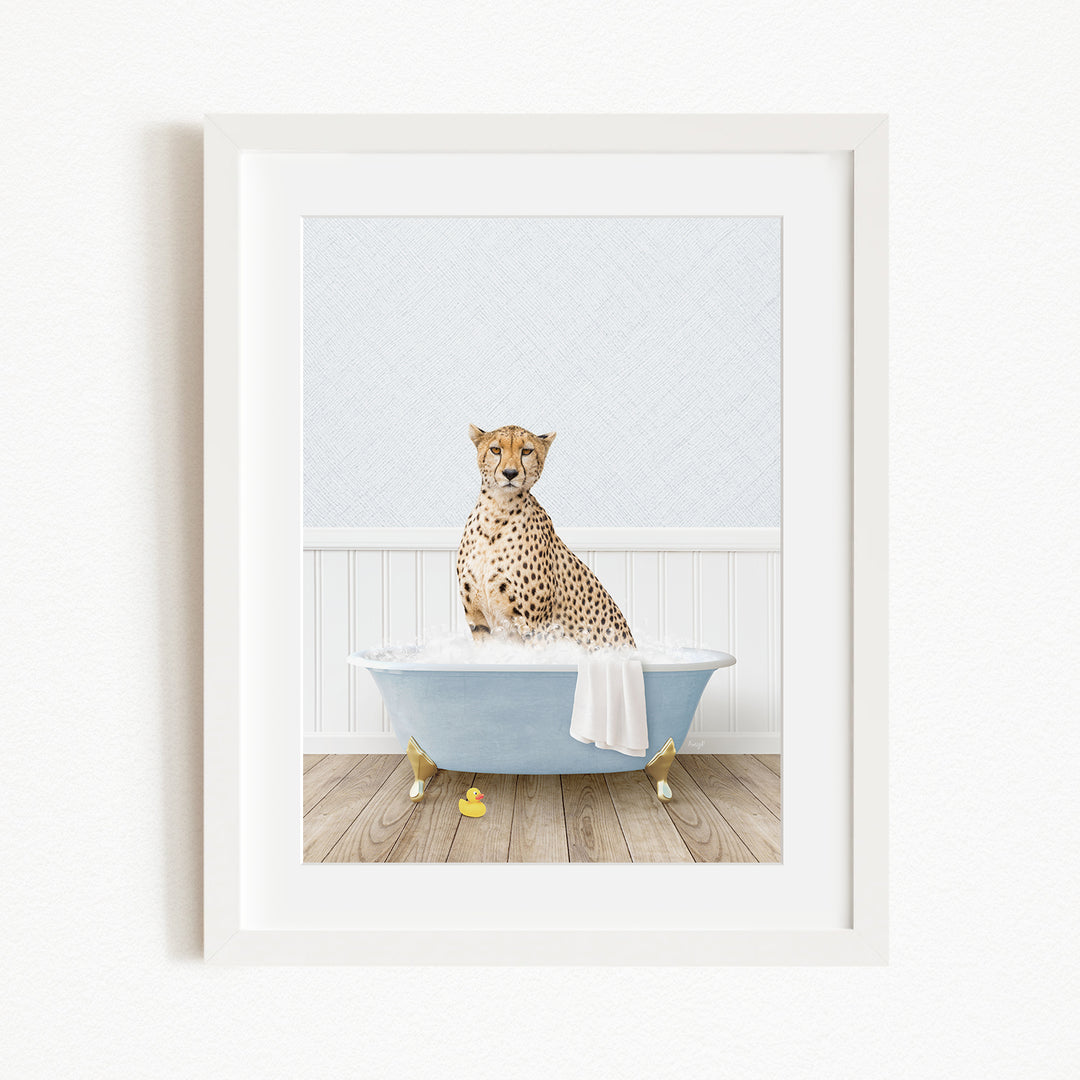 A cheetah sitting in a blue bathtub filled with water, surrounded by rubber duckies.