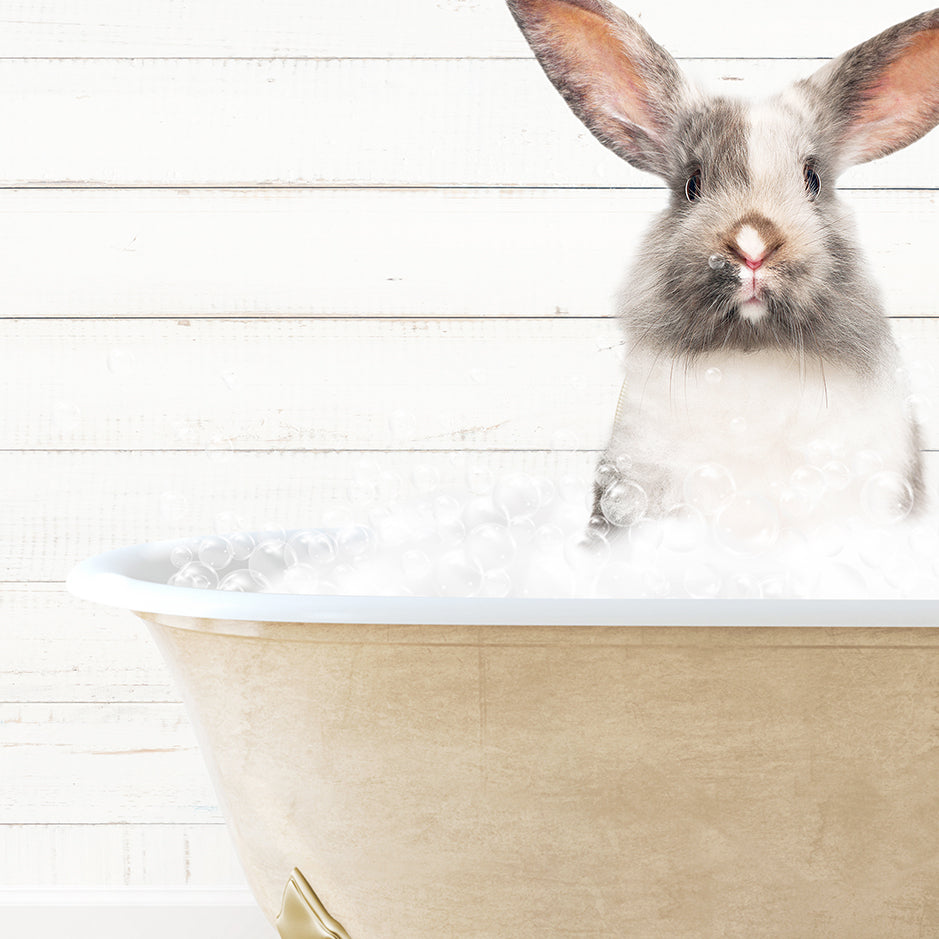 a rabbit sitting inside of a bath tub filled with bubbles