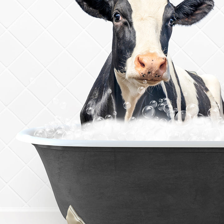 a black and white cow sitting in a bath tub