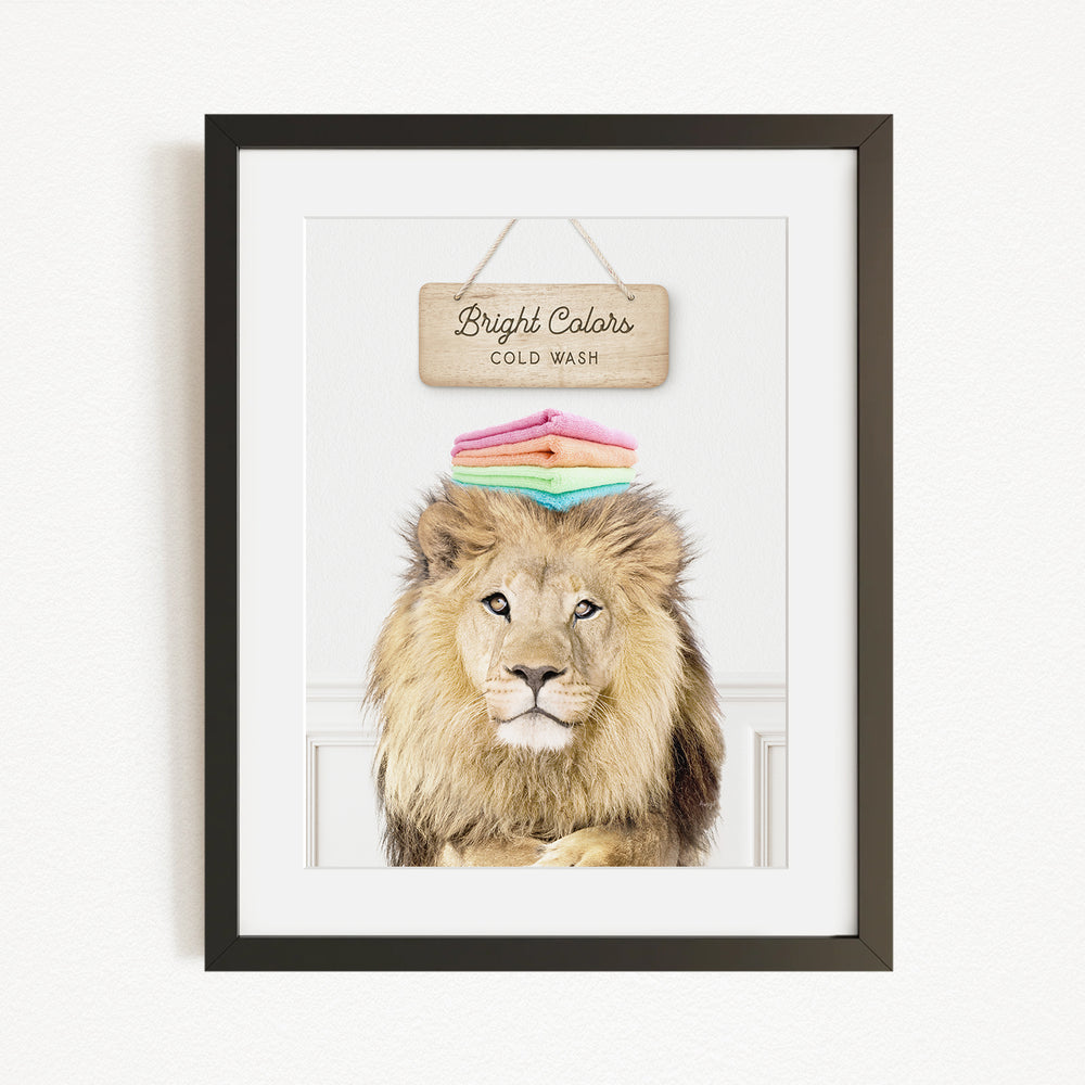 A framed image of a lion with a sign above it that says "Bright Colors Cold Wash".