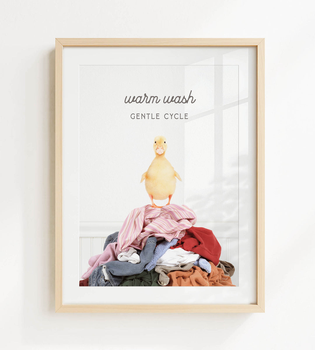 A framed image depicting a yellow duck standing on a pile of clothes, with the text "Warm wash Gentle Cycle" written above it.