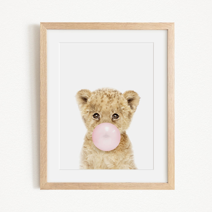 A framed print of a young lioness blowing a bubble with a pink bubble gum bubble.