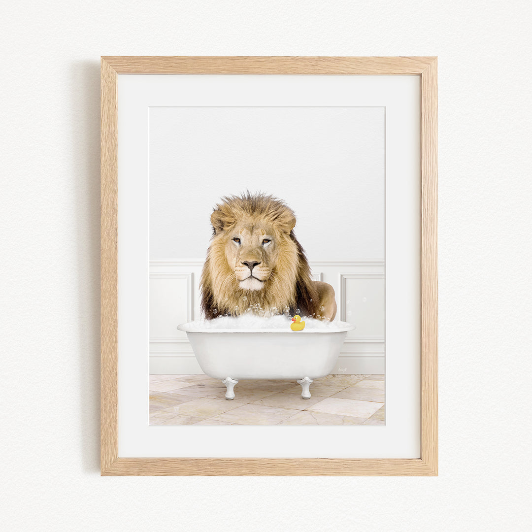 A lion sitting in a white bathtub filled with water and bubbles, with a yellow rubber duck floating in the water.