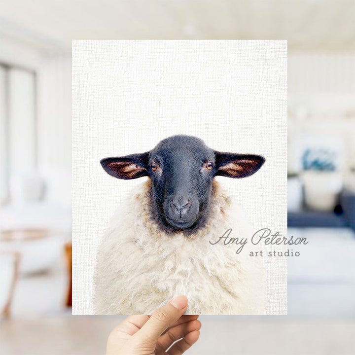 a person holding up a card with a picture of a sheep