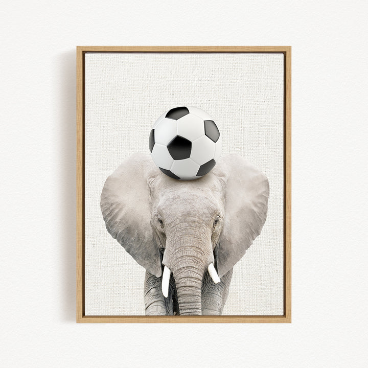 A gray elephant balances a soccer ball on its head.