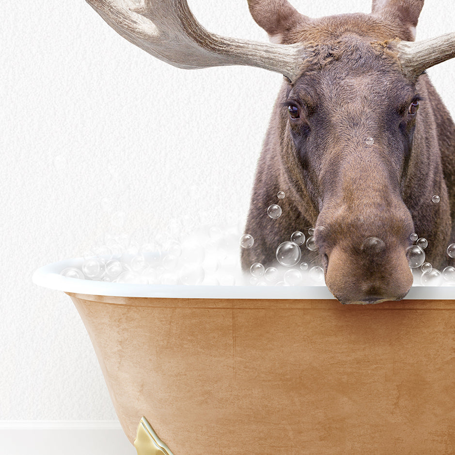 a moose is taking a bath in a bathtub