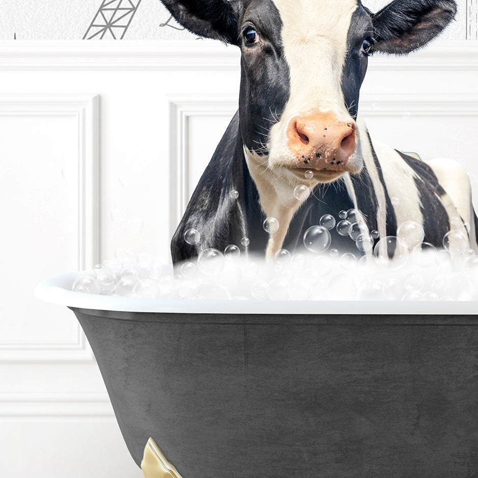 a black and white cow sitting in a bath tub