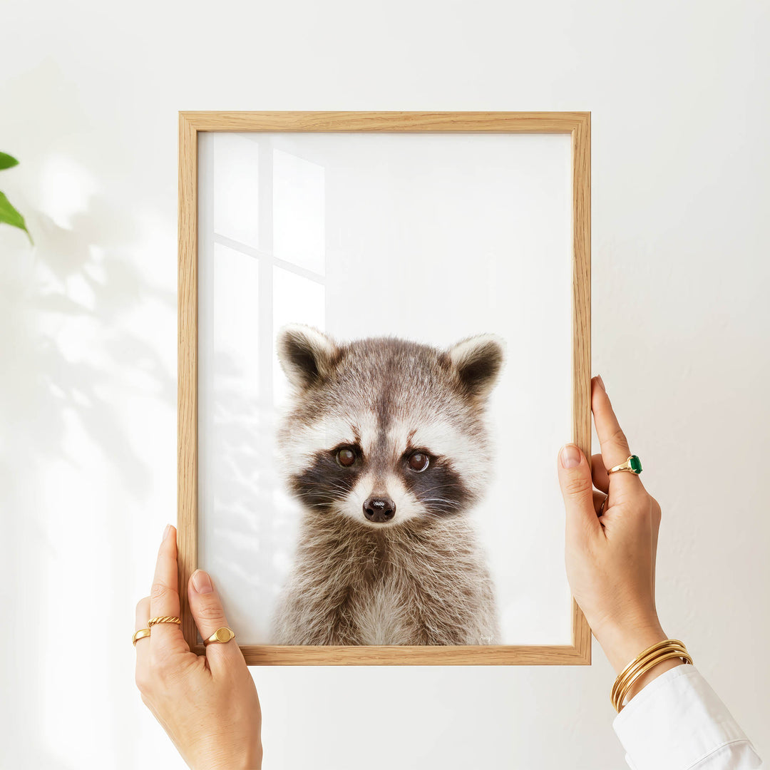 A person's hands are holding a wooden frame with a picture of a raccoon inside it.