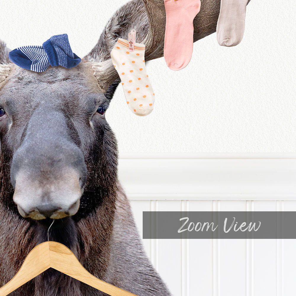 A close-up of a moose's head wearing a blue scarf and holding a wooden hanger with socks hanging from it.