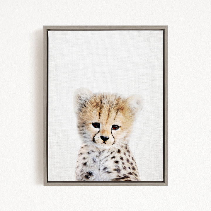 A young cheetah with a spotted coat gazes directly at the camera, its eyes wide open and alert.