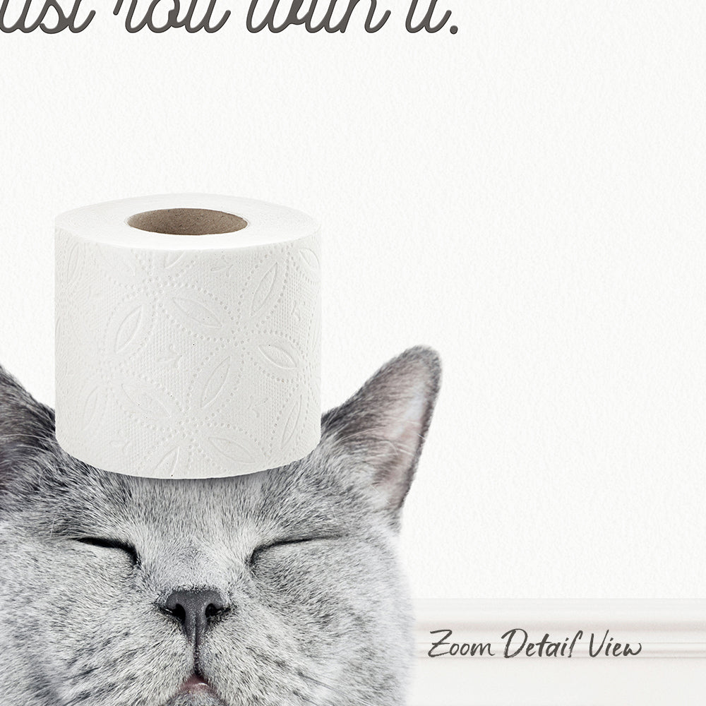 A gray cat with its eyes closed, wearing a roll of toilet paper on its head, with the text "Just now with it."