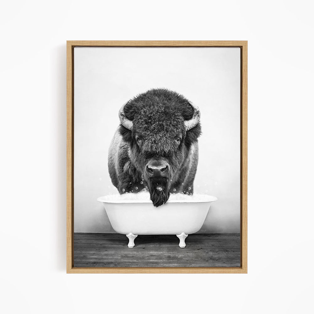 A black and white photograph of a buffalo standing in a bathtub, with its head and horns visible.