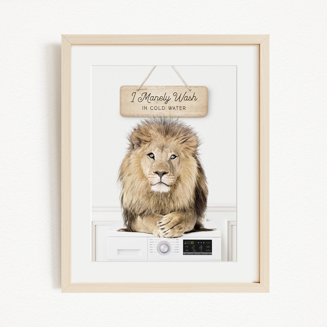 A framed image of a lion sitting on top of a washing machine, with a sign above the machine that says "I Manely Wash in Cold Water".