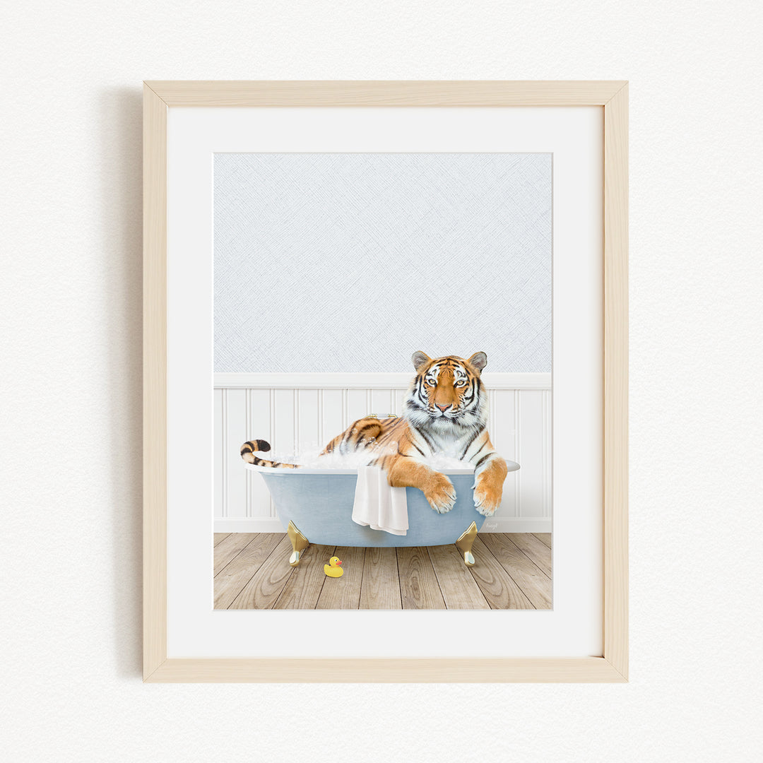 A tiger is sitting in a blue bathtub, surrounded by a white wall and wooden floor.