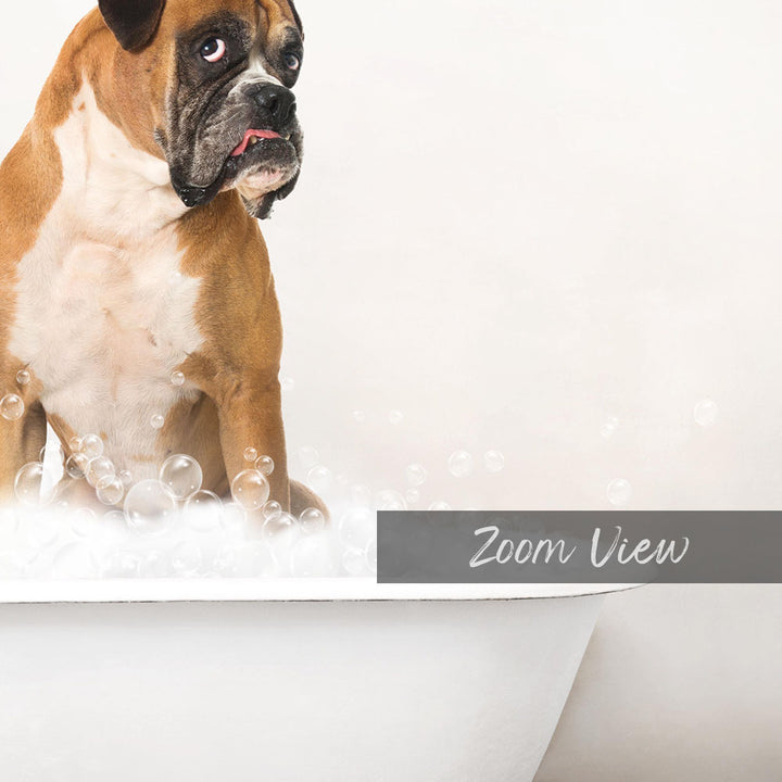 A brown and white dog sitting in a bathtub filled with bubbles, with the word "Zoom View" written on the side of the tub.