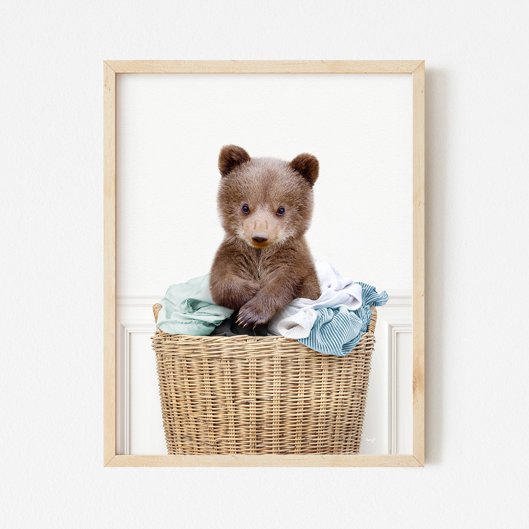 a picture of a bear sitting in a basket