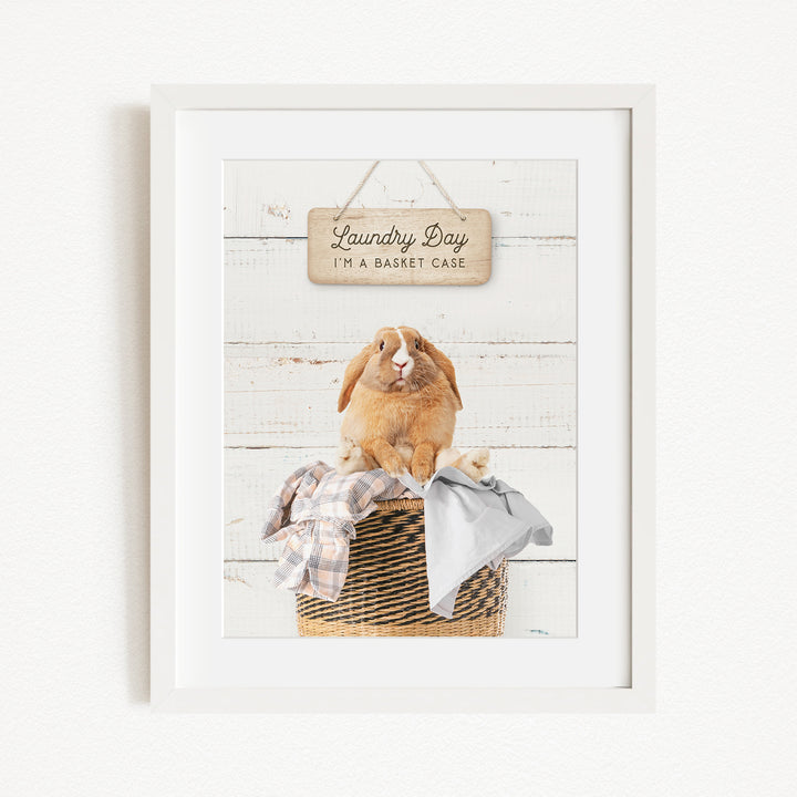 A framed image of a rabbit sitting in a basket filled with clothes, with a sign above that says "Laundry Day I'm a basket case".