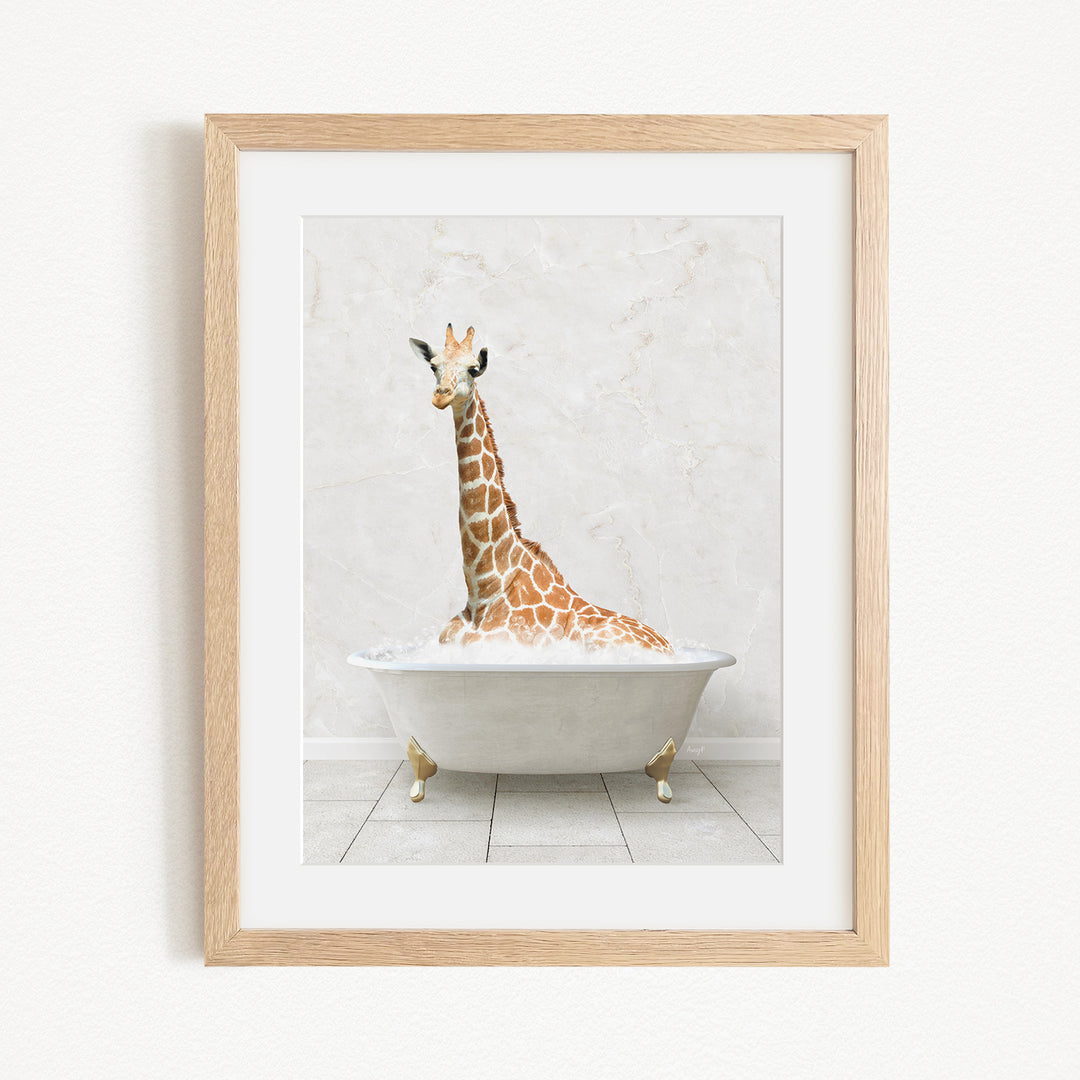 A giraffe sitting in a white bathtub, with its head and neck submerged in the water.