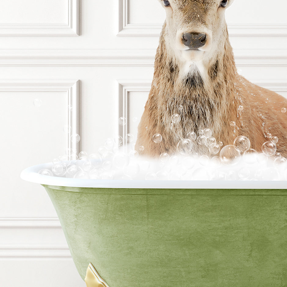 a deer is sitting in a bathtub full of bubbles