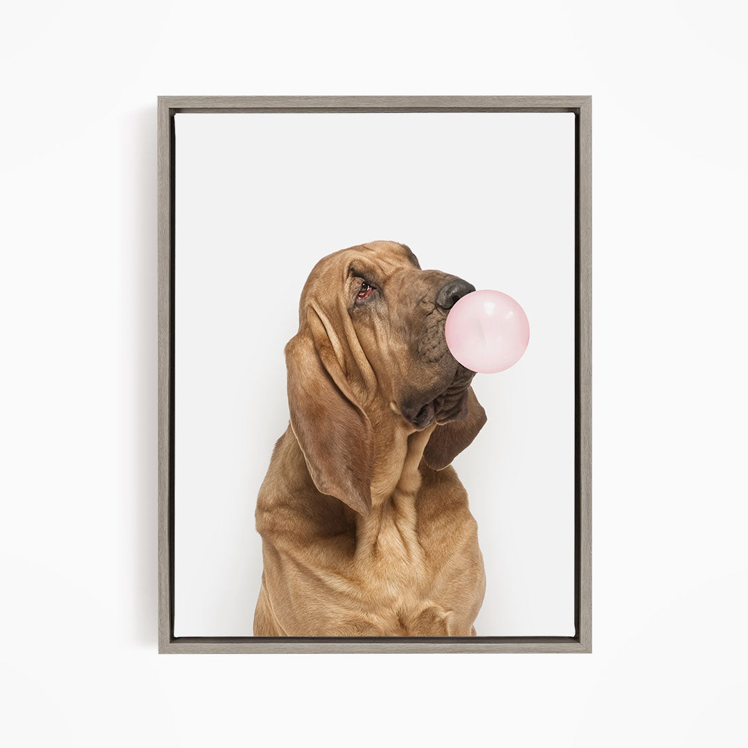 A brown dog is blowing a pink bubble with its mouth, looking up at the camera.