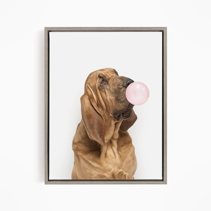 A brown dog is blowing a pink bubble with its mouth, looking up at the camera.