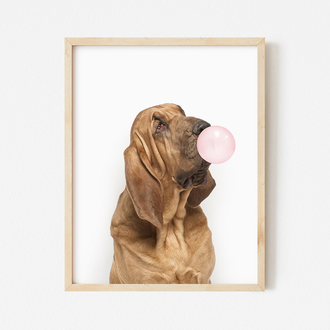 a dog with a pink bubble in its mouth