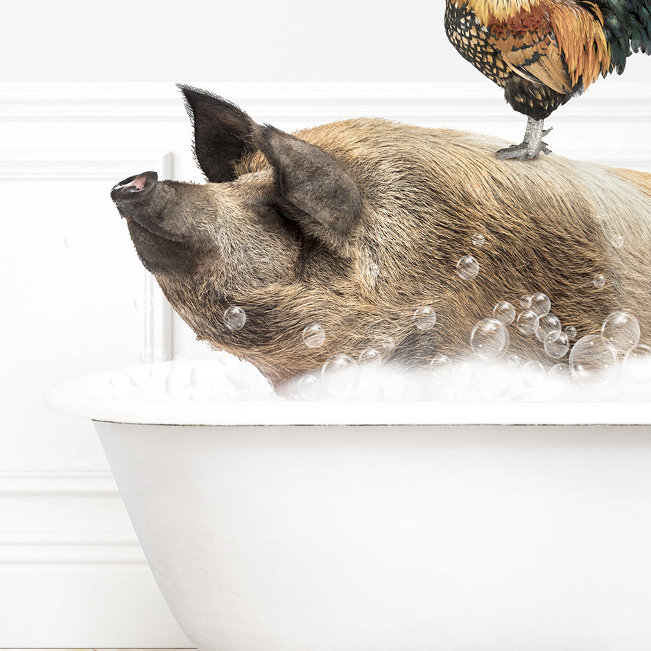 a chicken is sitting on top of a pig in a bathtub