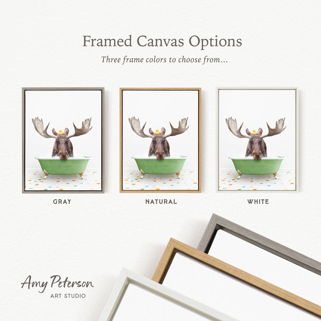 three framed canvas options featuring a moose in a bathtub, with each option having a different frame color.