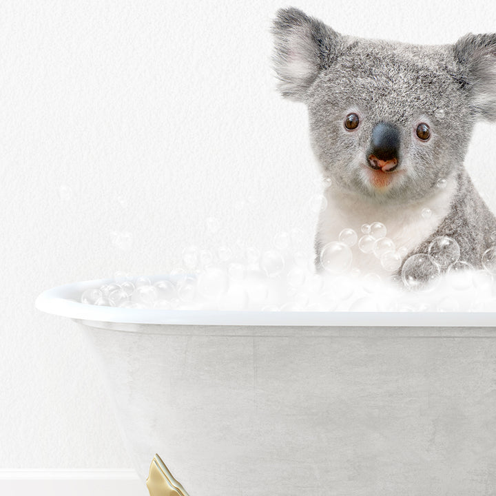 a koala is sitting in a bathtub with bubbles