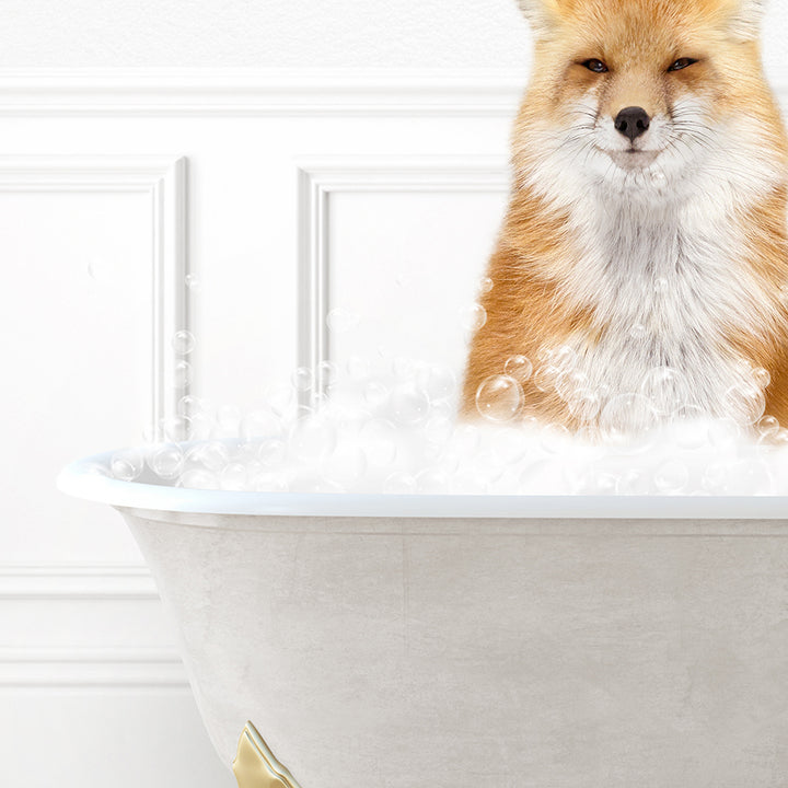 a fox sitting in a bathtub full of bubbles