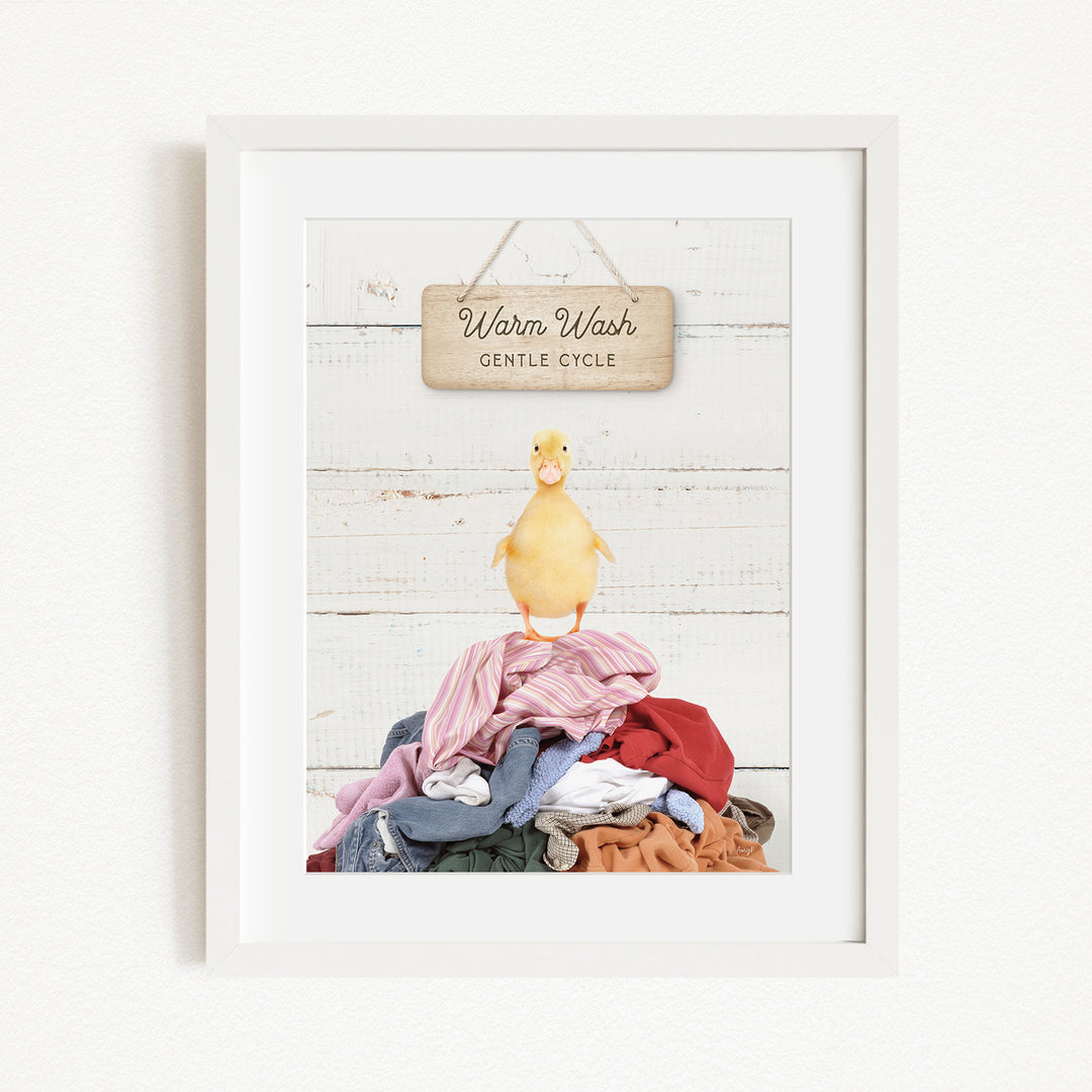 A framed image of a yellow duck standing on a pile of clothes, with a sign above that reads "Warm Wash Gentle Cycle".