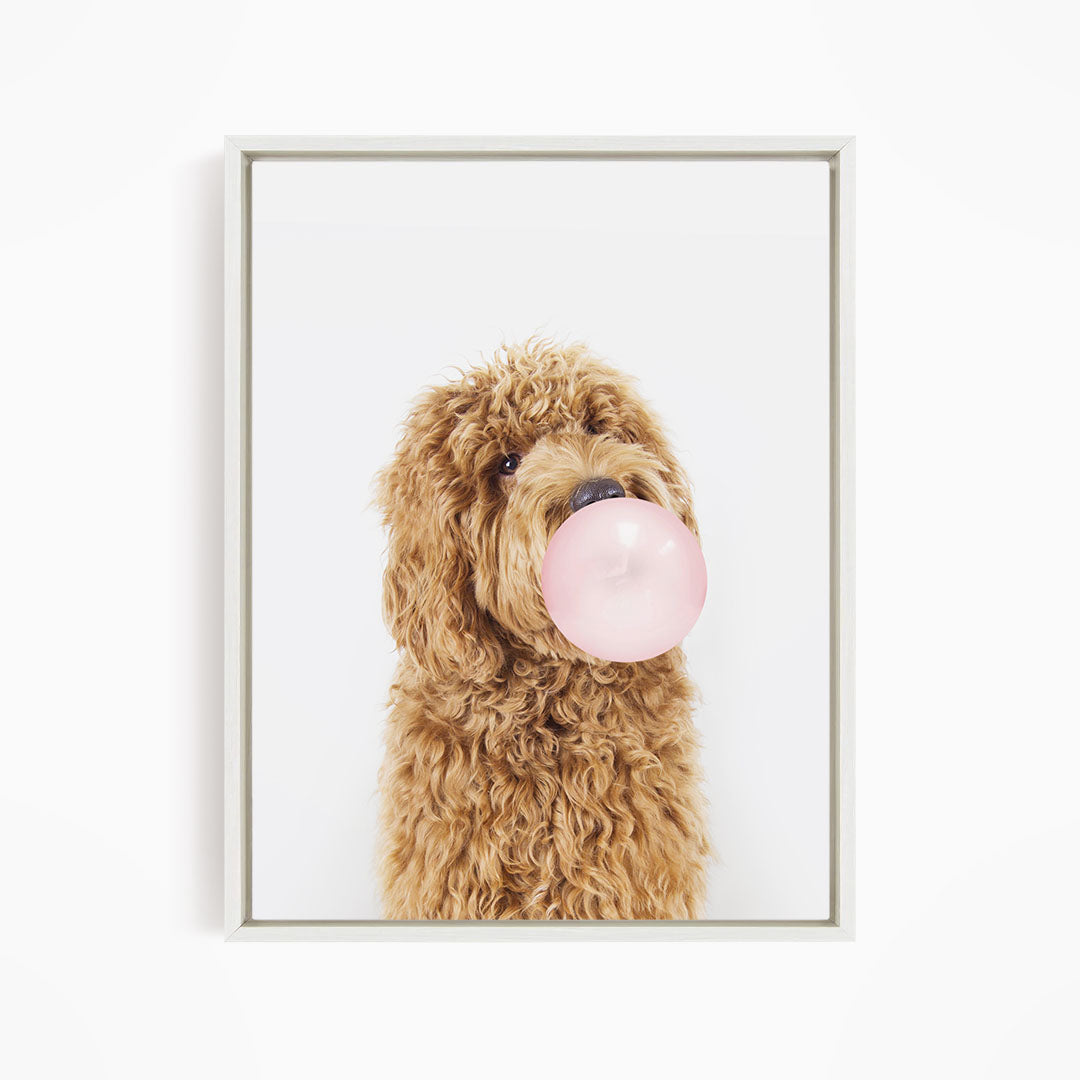 A brown dog with curly fur is blowing a pink bubblegum bubble with its mouth.