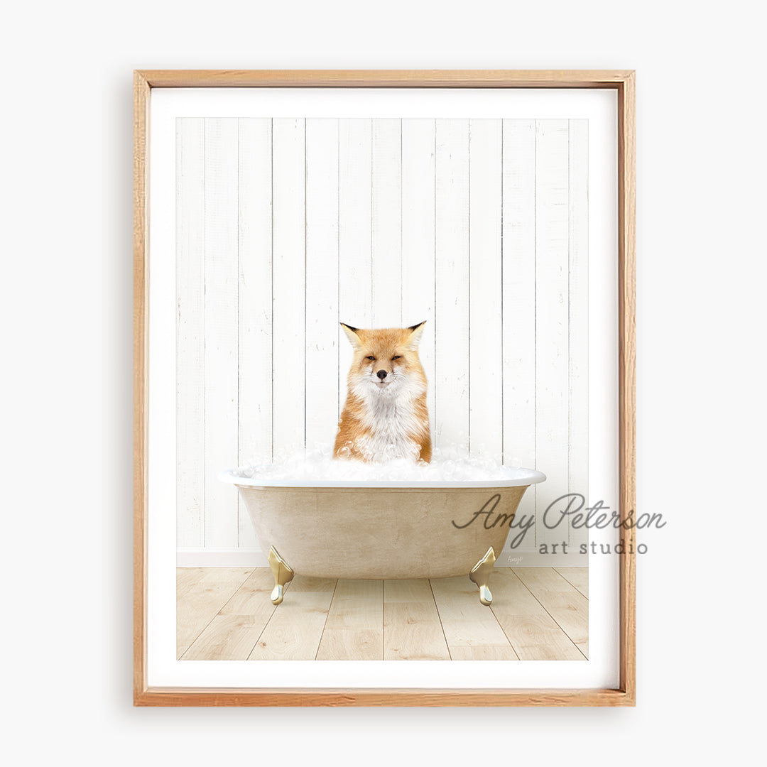 a picture of a fox in a bathtub