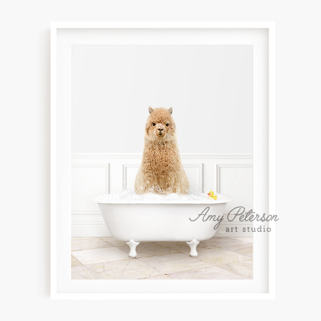 a brown dog sitting in a bathtub with foam on it