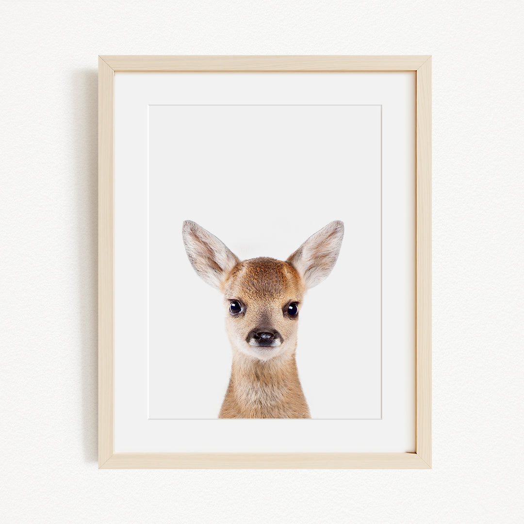 A framed print of a deer's head with large ears and a small nose, set against a white background.
