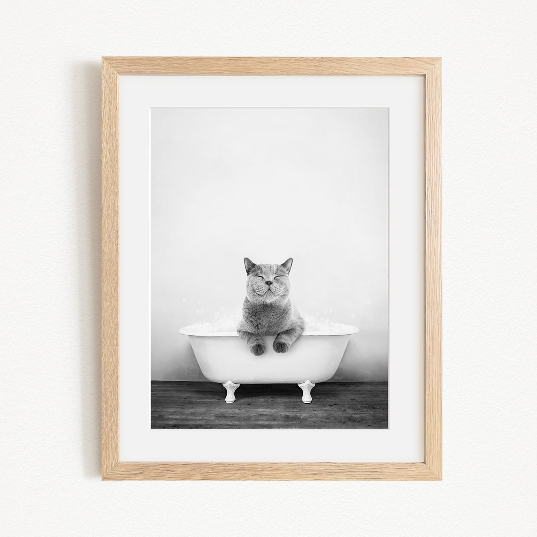 A gray cat sitting in a white bathtub, looking directly at the camera with a relaxed and content expression.