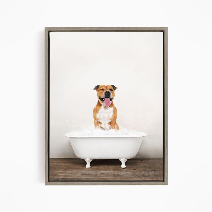A brown and white dog sitting in a white bathtub filled with water, with its tongue hanging out, appearing to enjoy the bath.