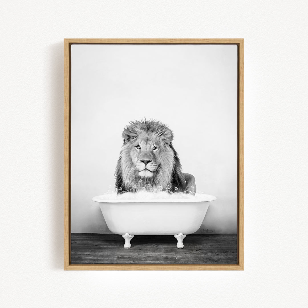 A lion sitting in a bathtub filled with water, looking directly at the camera.