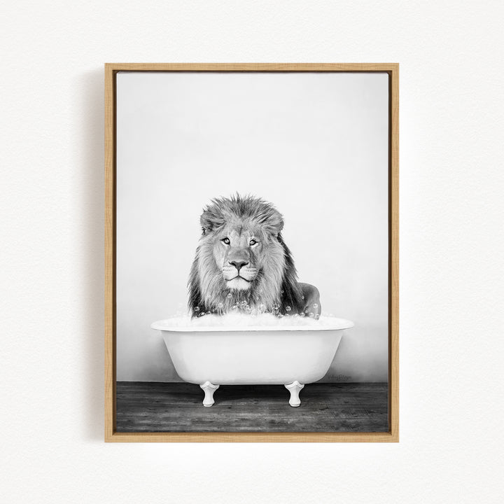 A lion sitting in a bathtub filled with water, looking directly at the camera.