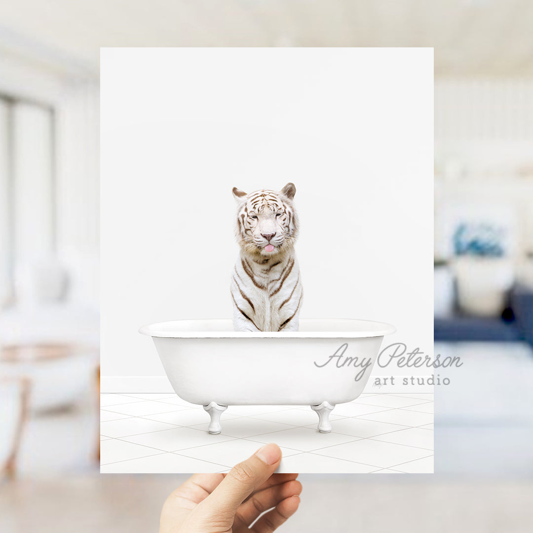 a white tiger sitting in a white bath tub