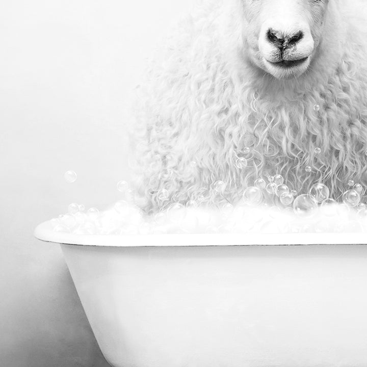 a black and white photo of a sheep in a bathtub